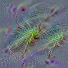 n02259212 leafhopper